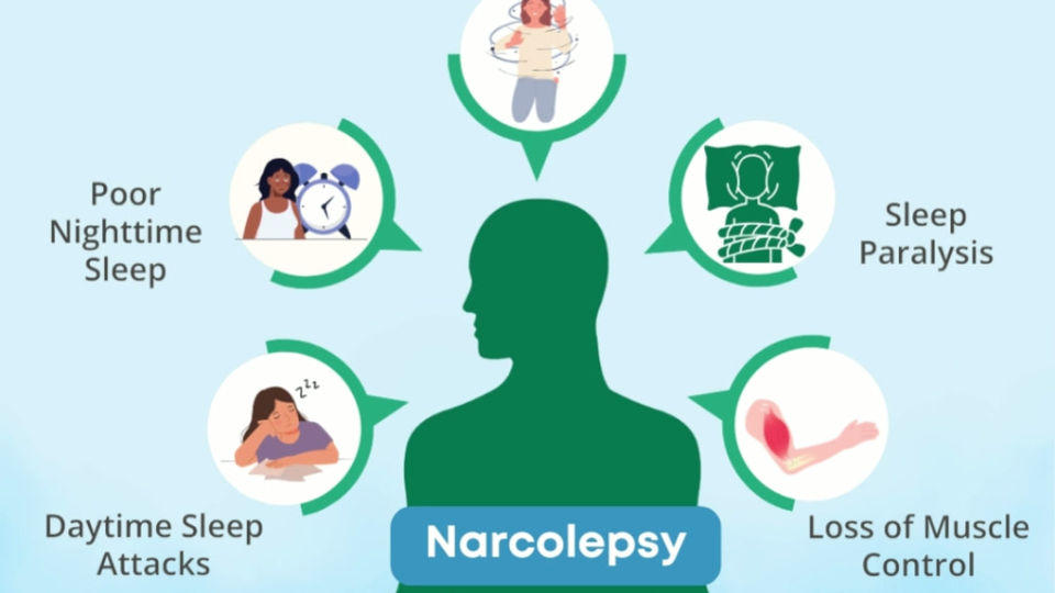 What is Narcolepsy